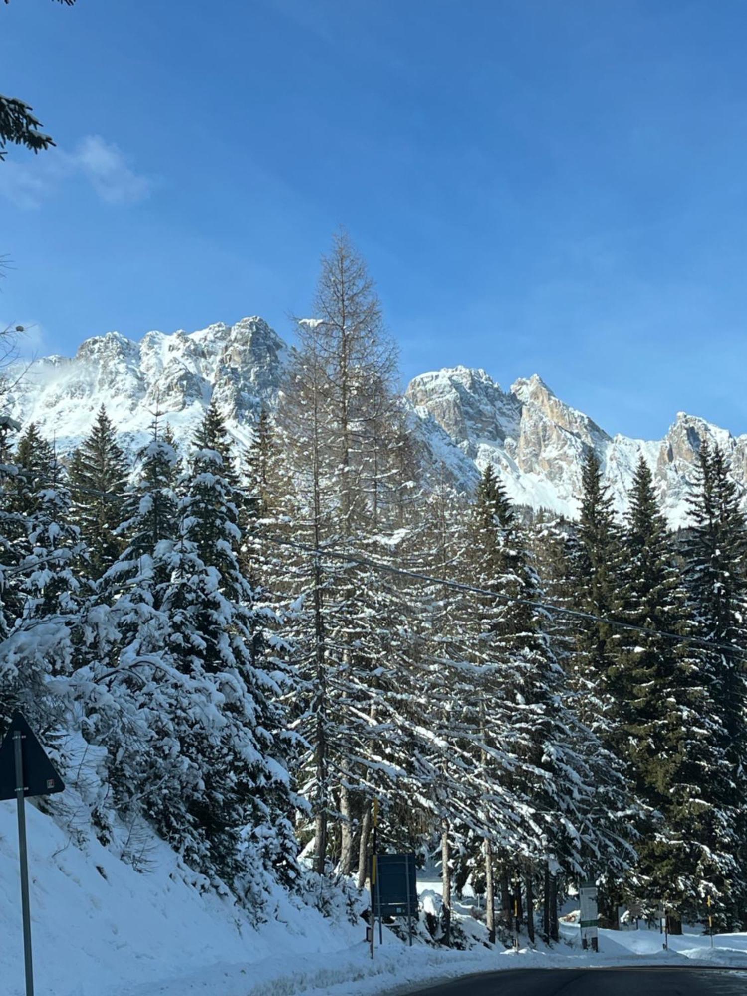 Chalet Delle Dolomiti ピエーヴェ・ディ・カドーレ エクステリア 写真